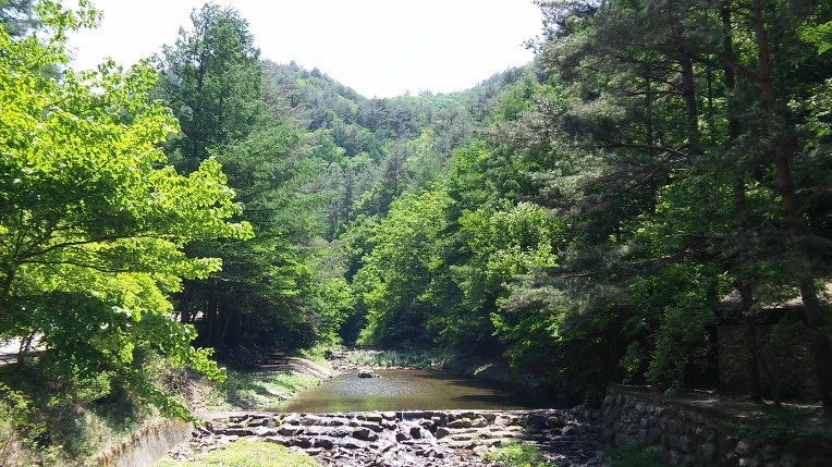 2557653659220FB01D83D5