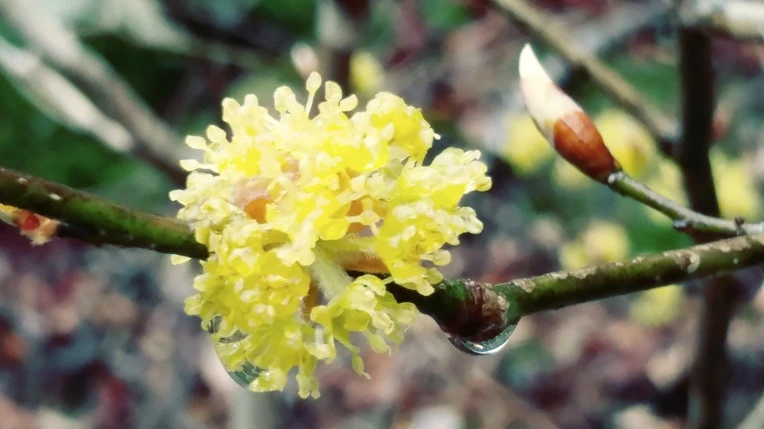 99E7FB385E9910EB0A2EE4