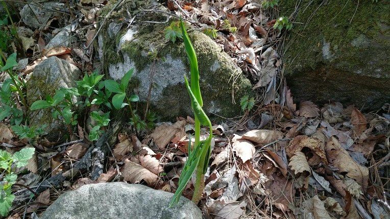 9961233E5CDF86122BA1F0