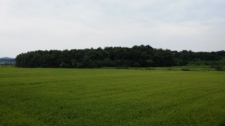 2127AE4257BCEB320A84CD