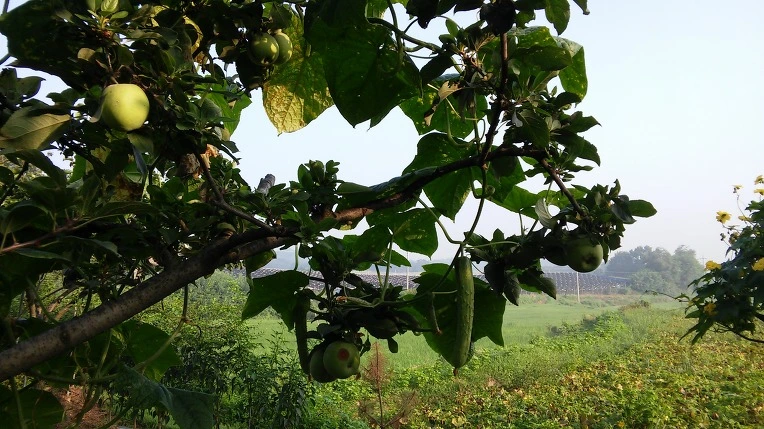 22094B4857A523CD2D2798