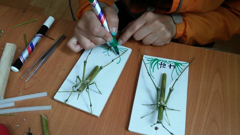 273E104A5724808E14654B