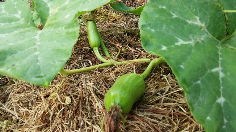 2557C839575A1F58041001