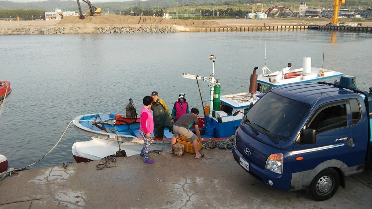 235DBB405949987F069086