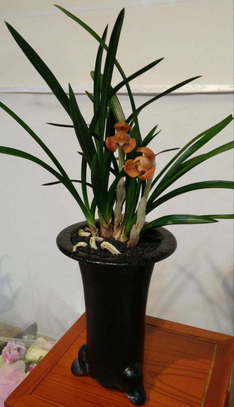 2363424558CF5F490C84EE