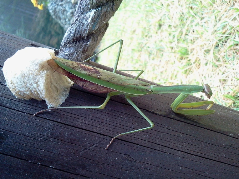 213E65505860D3E128C03D