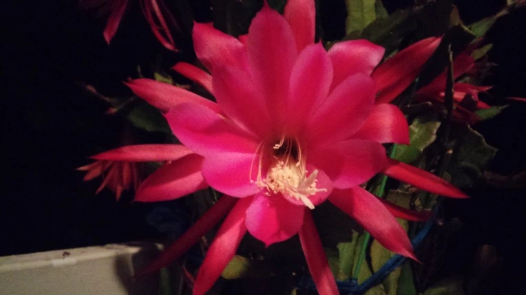 25053B40574590B21229D3