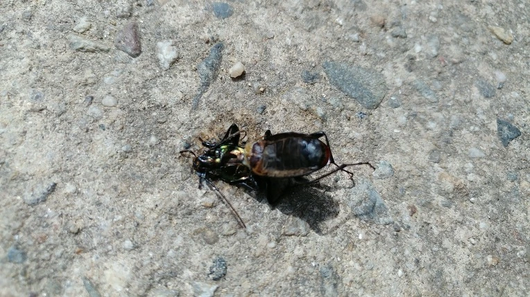 99171F385ABD665D10CF96