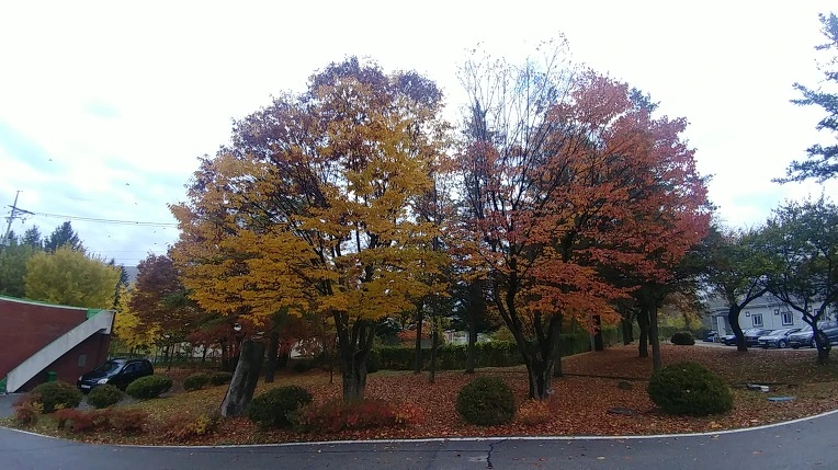 990F324A5BD65E8E0581E8