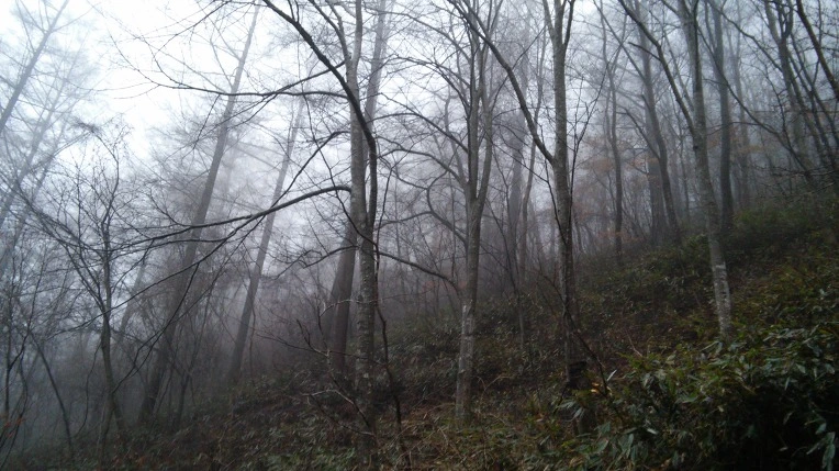 276ED74D56DA7C1513D519