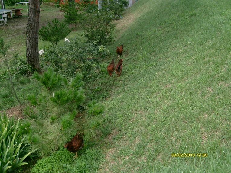 1216061A4CA5BE4E5B6C5A