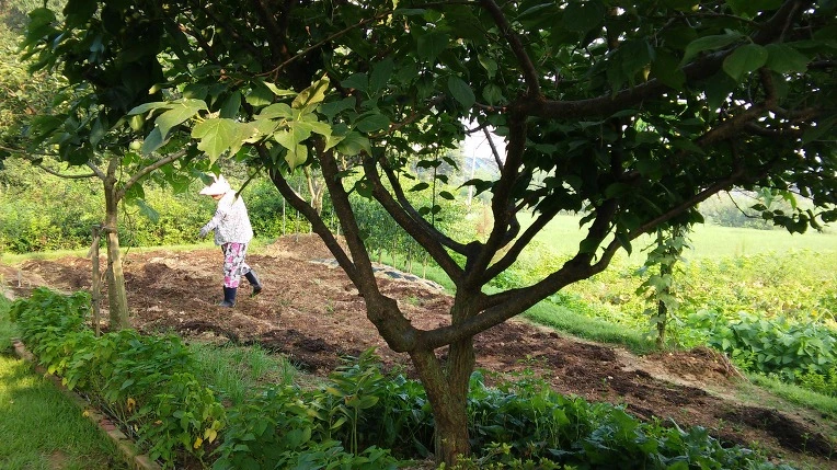 2213F04857A523A3293749