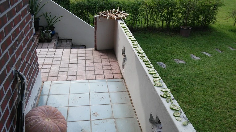 256C993357D0BA2437516C