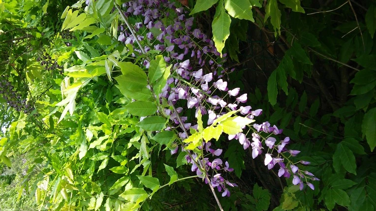 2420424C5914161E30E0A3