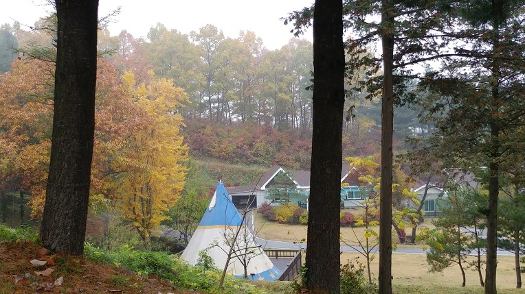 997BD9475BD65E7836AB9A