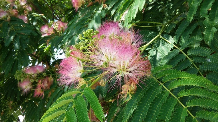 234A024A576F7D90285342