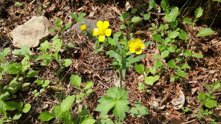 225ABE4C5914161920EAF5