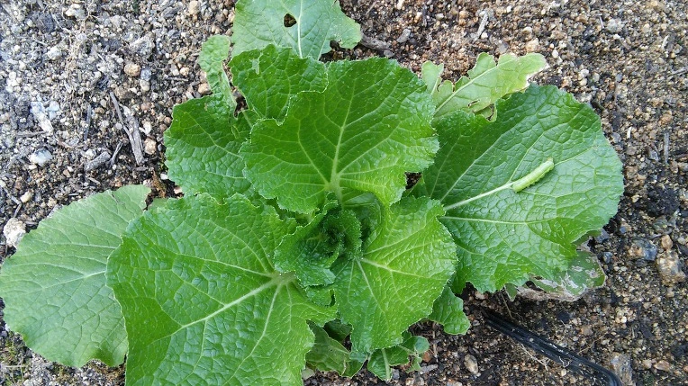 998BAB3359CB17FE36431D