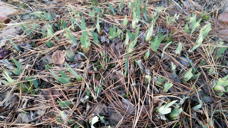 223E9E47566DDFD0077393