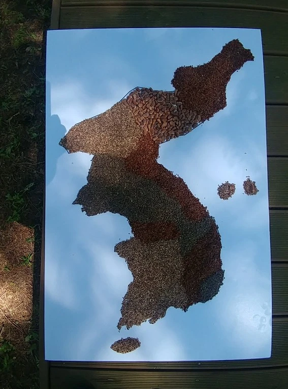 99061F4A5B4D8EDD28DECB