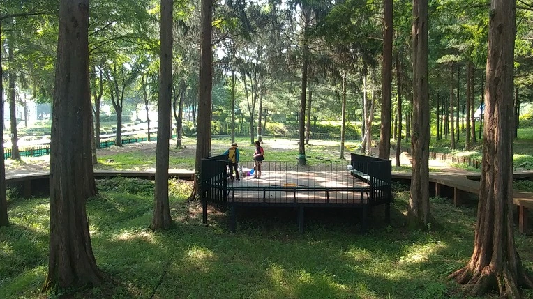 99EEF2465B4D8E6C354EF0