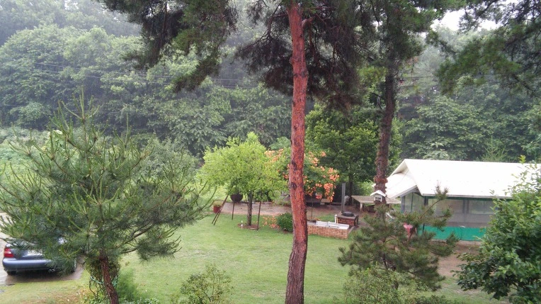 220F2A425779B28A1F4554