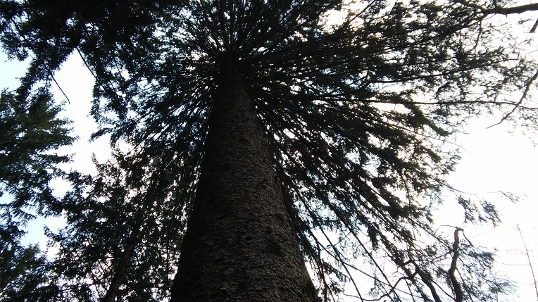 23226F3C56F3915927C192