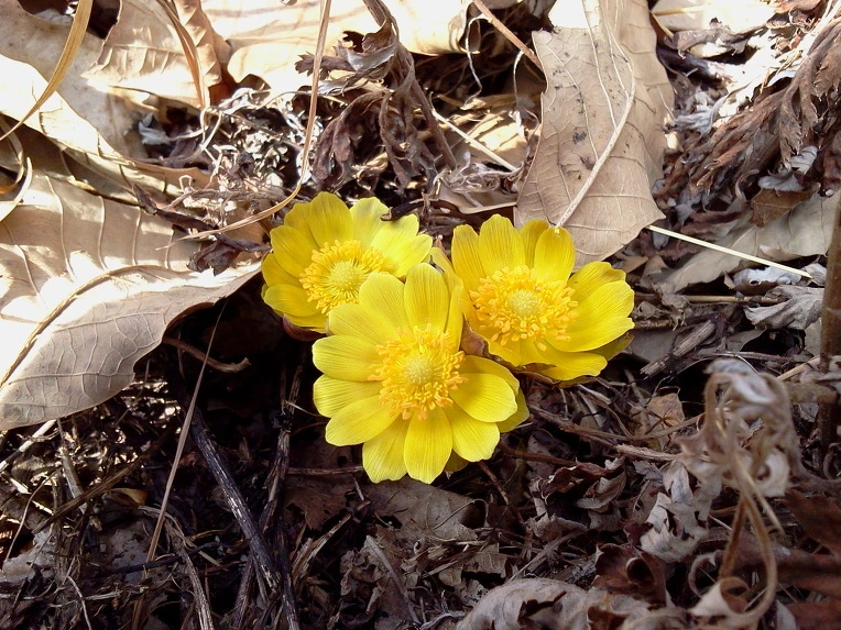 165A663B4F3E106E04FF3A