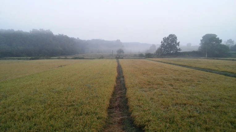 2224DD3357E468132DD135