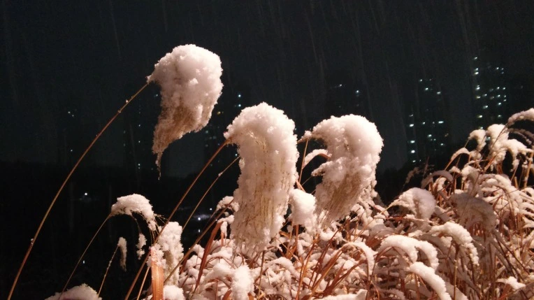 2202FA485878AC8D2A8EA9