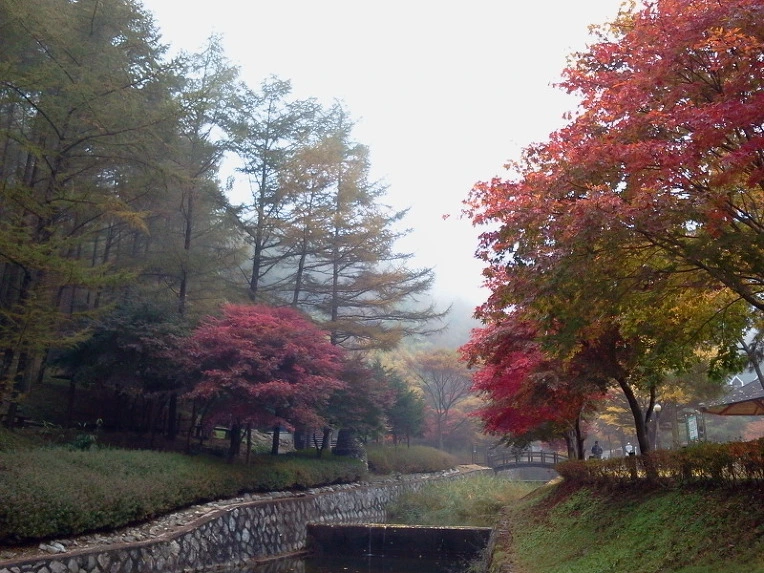 274665395424173B2D7549