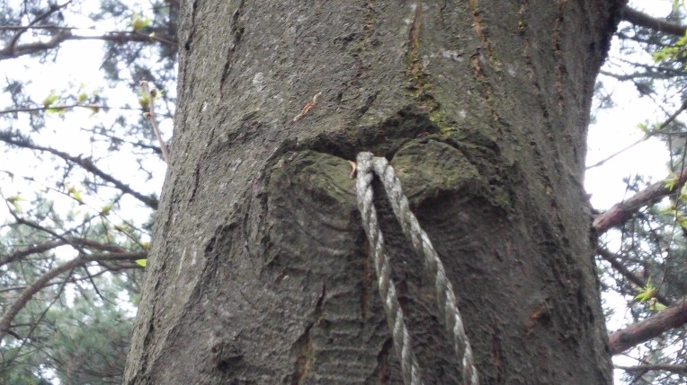 214E4B4B571ACEF51384B4