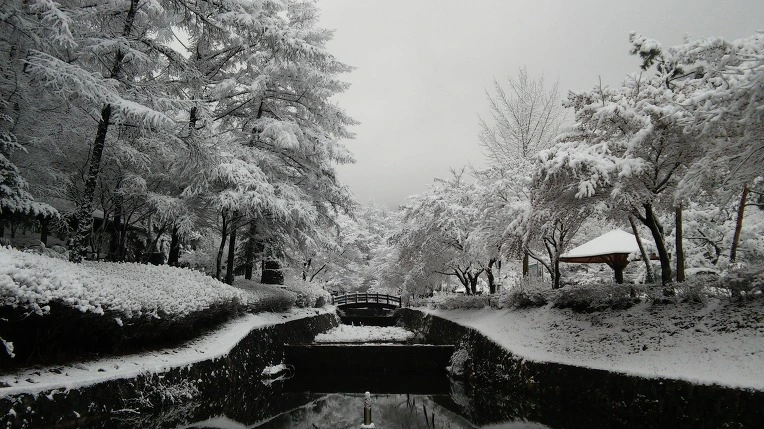 2178143C565F93E92421D5