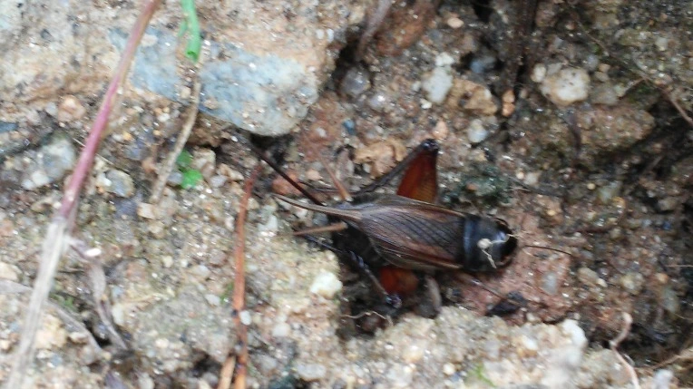 211A6C5057D21A4A0EC577