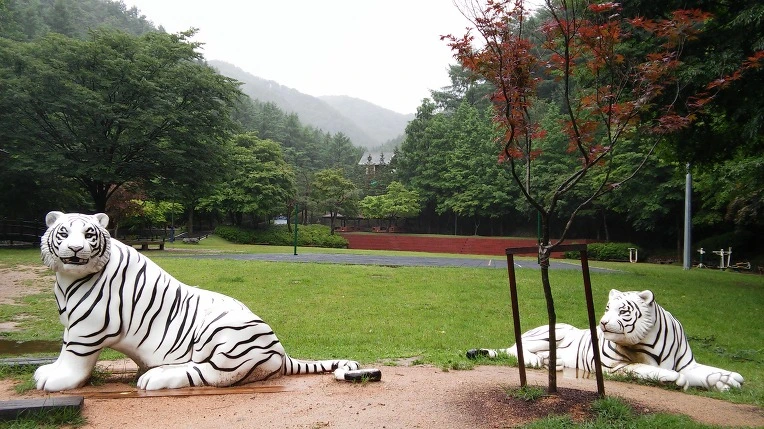 244F9A3E558C8DAB318CF2