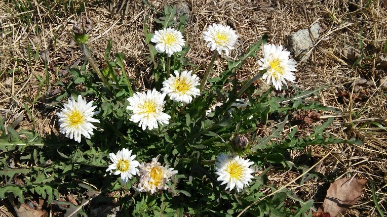 2254D04B570366AF32C0C4