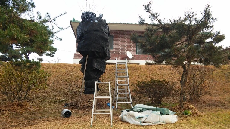 2437C53B5827CF3809132C