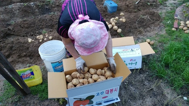 99B116495B3D58451BCD0B