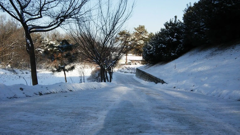 212B803A588403B6166B3D