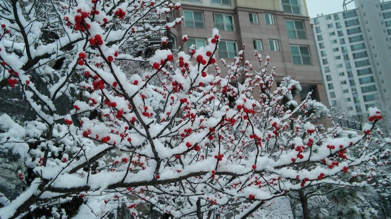 210204335878ACA932DA68