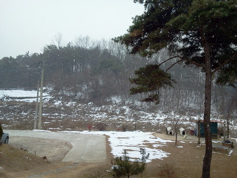 176A483D4F0620A531FE3B