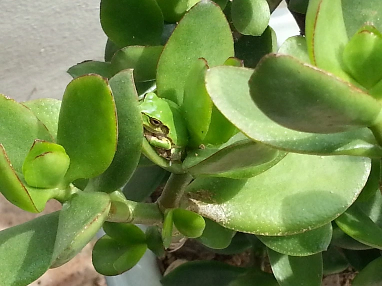 24716A4B56B024F0258343