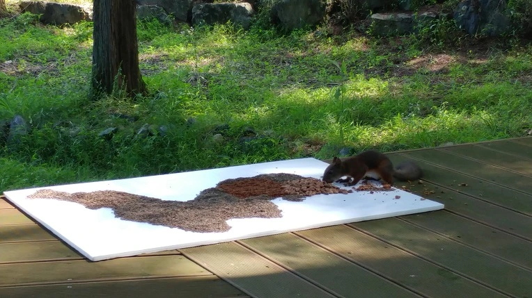 99FB9E345B4D8EF805BE55