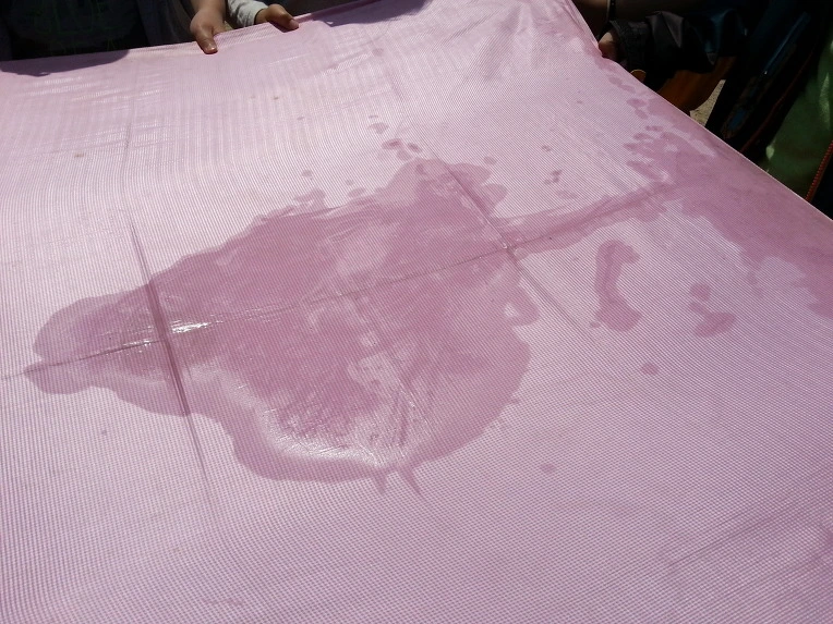 2562F34B53749545078693