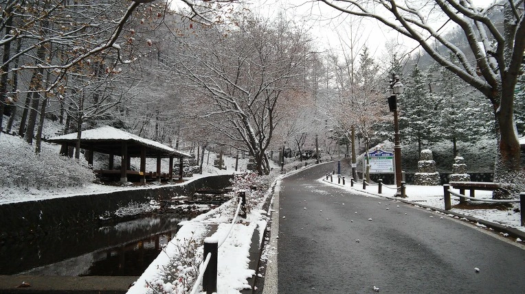 261AC14456932E4020ADBC