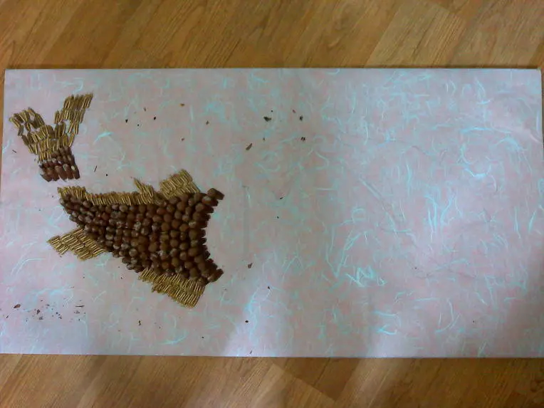 261A663B54B5C6842B31FB