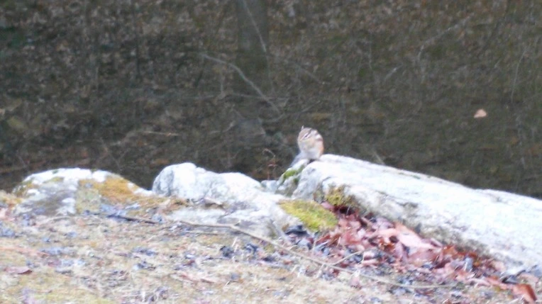 2110273A58DDF7310522F6