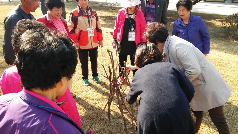 227D244856FE1A2226E784