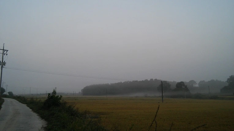 2533383357E46810266BE4