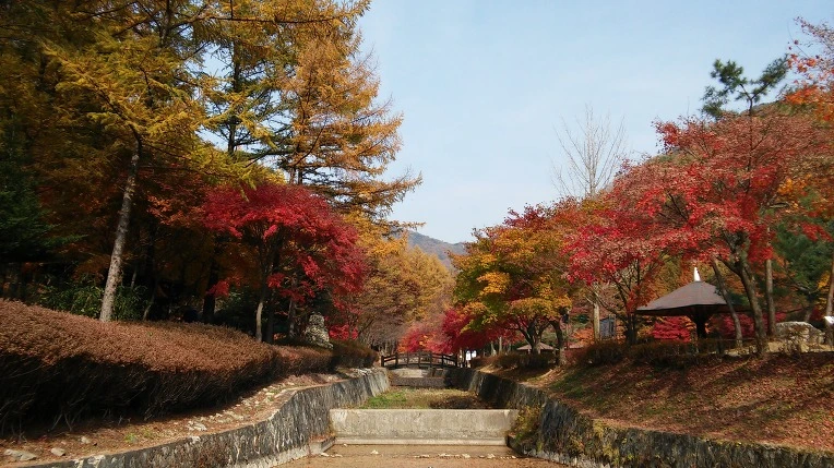 223BC549563C462E0C07D4